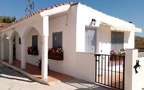 The Vine Studio